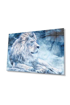Aslan Cam Tablo 4mm Dayanıklı Temperli Cam