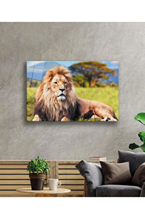 Aslan Cam Tablo 4mm Dayanıklı Temperli Cam