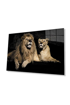 Aslan Cam Tablo 4mm Dayanıklı Temperli Cam