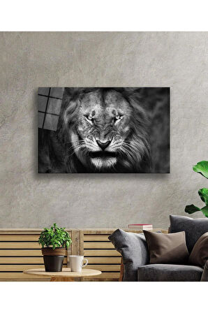 Aslan Cam Tablo 4mm Dayanıklı Temperli Cam