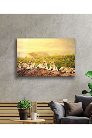 Aslan Cam Tablo 4mm Dayanıklı Temperli Cam