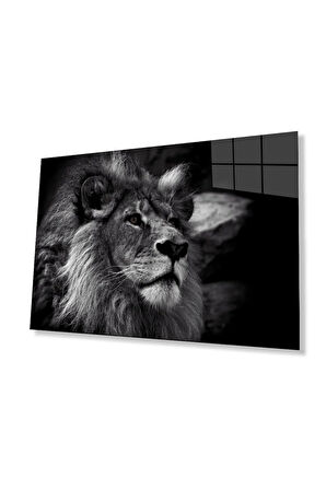 Aslan Cam Tablo 4mm Dayanıklı Temperli Cam