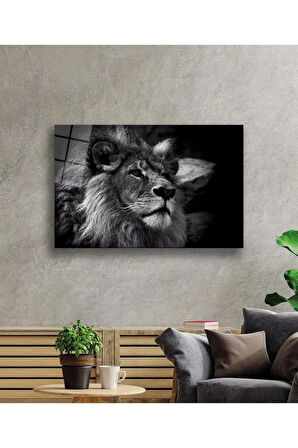 Aslan Cam Tablo 4mm Dayanıklı Temperli Cam