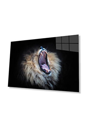 Aslan Cam Tablo 4mm Dayanıklı Temperli Cam