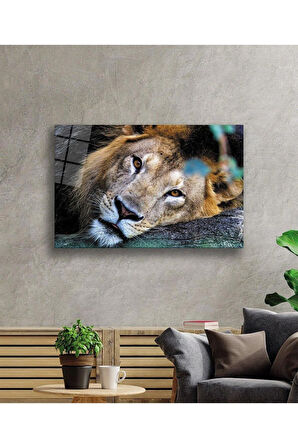 Aslan Cam Tablo 4mm Dayanıklı Temperli Cam