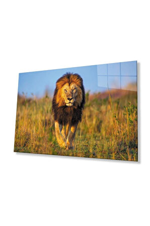 Aslan Cam Tablo 4mm Dayanıklı Temperli Cam