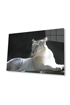 Aslan Cam Tablo 4mm Dayanıklı Temperli Cam