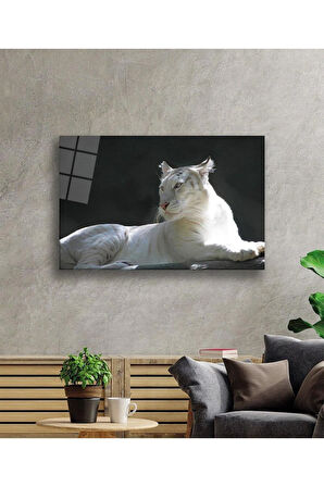 Aslan Cam Tablo 4mm Dayanıklı Temperli Cam