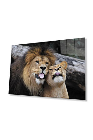 Aslan Cam Tablo 4mm Dayanıklı Temperli Cam