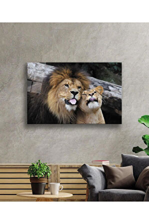 Aslan Cam Tablo 4mm Dayanıklı Temperli Cam