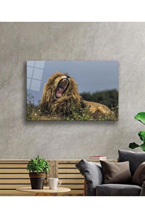 Aslan Cam Tablo 4mm Dayanıklı Temperli Cam