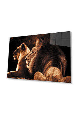 Aslan Cam Tablo 4mm Dayanıklı Temperli Cam