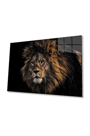 Aslan Cam Tablo