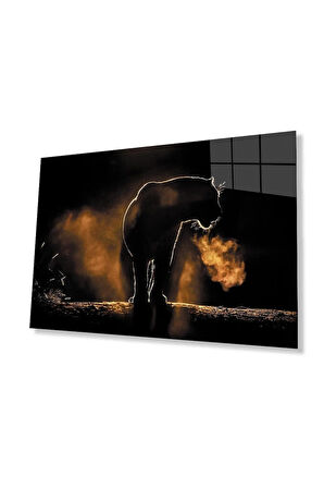 Aslan Cam Tablo 4mm Dayanıklı Temperli Cam