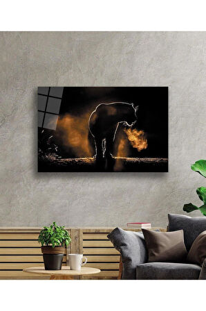 Aslan Cam Tablo 4mm Dayanıklı Temperli Cam