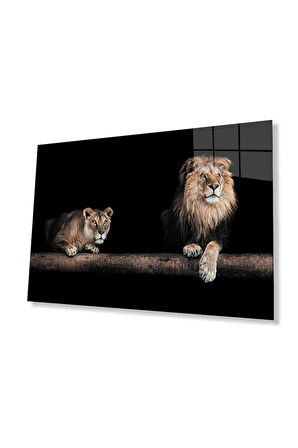 Aslan Cam Tablo 4mm Dayanıklı Temperli Cam