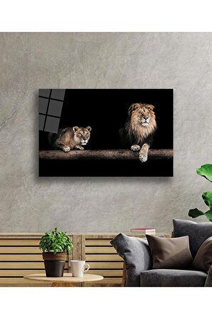 Aslan Cam Tablo 4mm Dayanıklı Temperli Cam