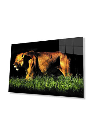 Aslan Cam Tablo 4mm Dayanıklı Temperli Cam