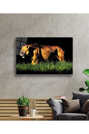 Aslan Cam Tablo 4mm Dayanıklı Temperli Cam