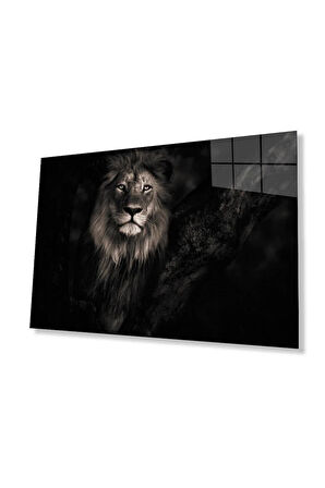 Aslan Cam Tablo 4mm Dayanıklı Temperli Cam