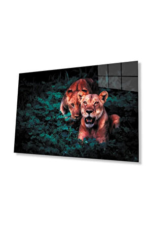 Aslan Cam Tablo 4mm Dayanıklı Temperli Cam