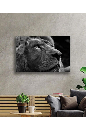 Aslan Cam Tablo 4mm Dayanıklı Temperli Cam