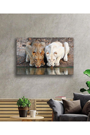 Aslan Cam Tablo 4mm Dayanıklı Temperli Cam