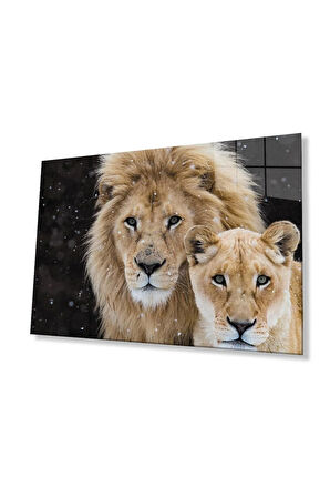 Aslan Cam Tablo 4mm Dayanıklı Temperli Cam