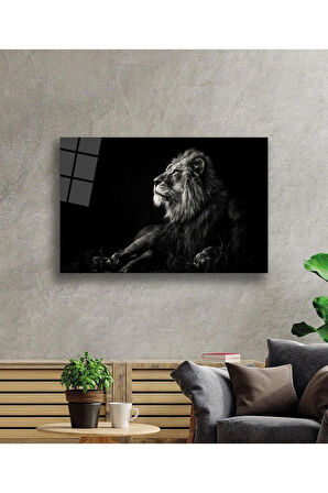 Aslan Cam Tablo 4mm Dayanıklı Temperli Cam