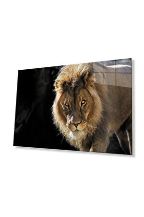 Aslan Cam Tablo 4mm Dayanıklı Temperli Cam