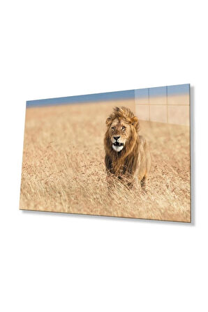 Aslan Cam Tablo 4mm Dayanıklı Temperli Cam