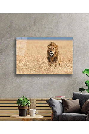 Aslan Cam Tablo 4mm Dayanıklı Temperli Cam