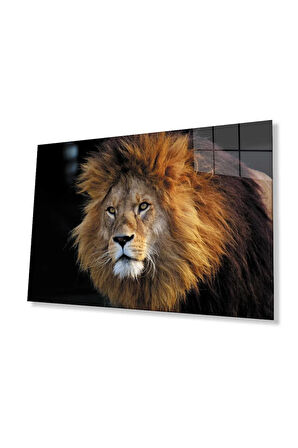 Aslan Cam Tablo 4mm Dayanıklı Temperli Cam