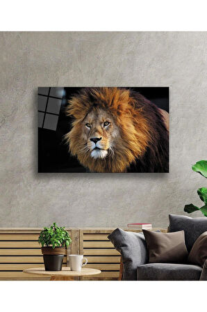 Aslan Cam Tablo 4mm Dayanıklı Temperli Cam