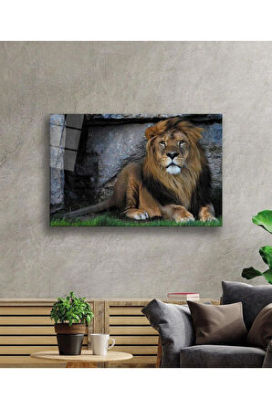 Aslan Cam Tablo 4mm Dayanıklı Temperli Cam