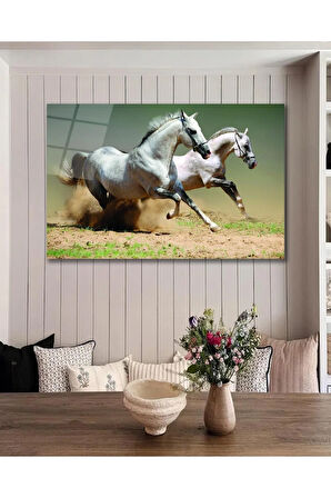 Atlar Cam Tablo, Ev Ofis Salon Hediyelik Duvar Dekoru