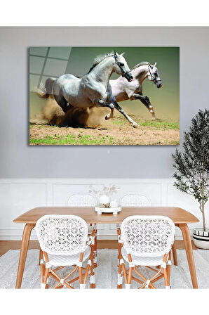 Atlar Cam Tablo, Ev Ofis Salon Hediyelik Duvar Dekoru