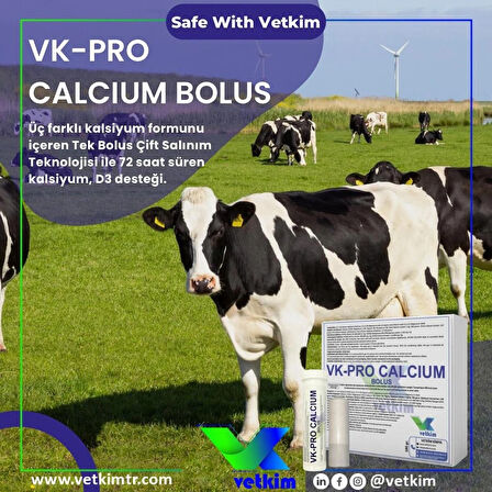 Vk-Pro Calcium Bolus - 48 Adet 180 gr (Yutturma Aparatı Hediyeli)