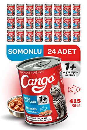 Cango Yetişkin Yaş Kedi Maması Somonlu 415Gr 24Lü