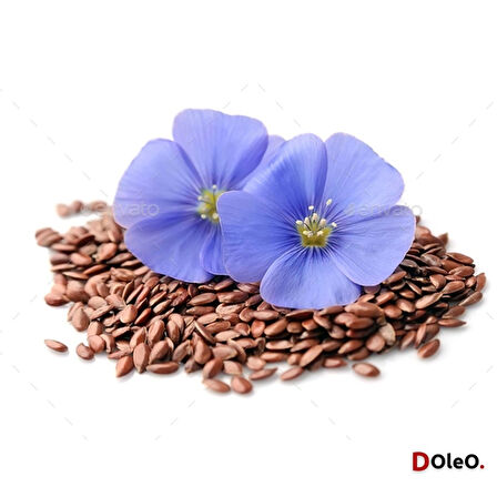 Keten Tohumu Yağı - 100 mL (Uçucu Yağ,Buhardanlık Esansı,Oda Kokusu)