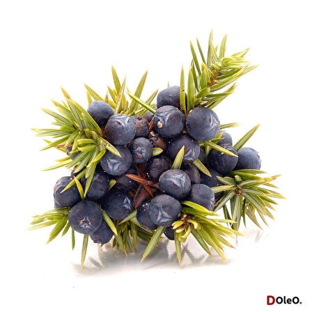 Ardıç Yağı (Ardıç Tohumu Yağı) - 100 mL (Uçucu Yağ,Buhardanlık Esansı,Oda Kokusu)