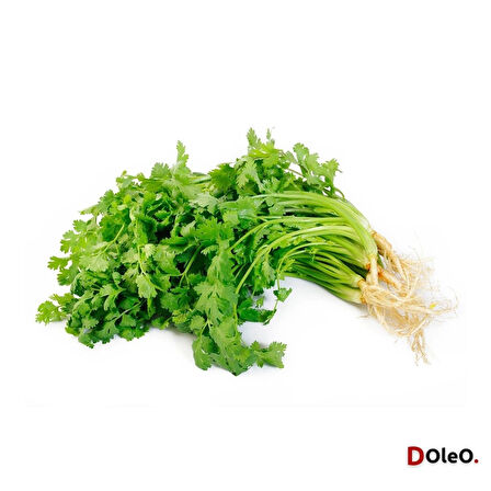 Dolar Kimya Kişniş Yağı - 100 mL (Uçucu Yağ,Buhardanlık Esansı,Oda Kokusu)