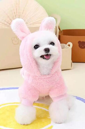 Caş Dekorasyon Pembe Renk Havuç Figürlü Çantalı Peluş XL Köpek Tulum