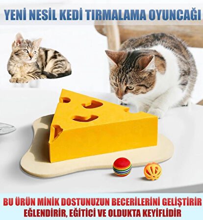 Gissa Eğlenceli Kedi Oyun Evi - Peynir Dilimi Tasarım, Geliştirici Zeka oyunu