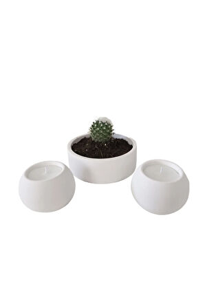 Taş Mumlukta Kaktüs ve Mum , Lavanta Kokulu %100 Doğal Soya Mum - Yuvarlak (12 cm,7cm, 7cm)- 3lü set