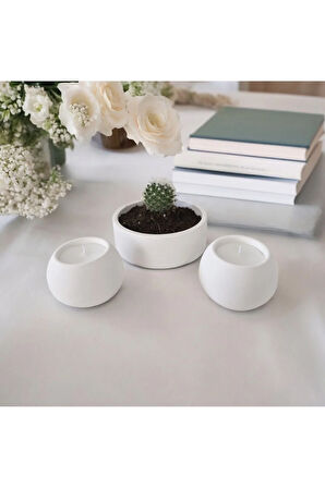 Taş Mumlukta Kaktüs ve Mum , Lavanta Kokulu %100 Doğal Soya Mum - Yuvarlak (12 cm,7cm, 7cm)- 3lü set