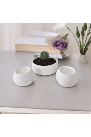 Taş Mumlukta Kaktüs ve Mum , Lavanta Kokulu %100 Doğal Soya Mum - Yuvarlak (12 cm,7cm, 7cm)- 3lü set