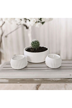 Taş Mumlukta Kaktüs ve Mum , Lavanta Kokulu %100 Doğal Soya Mum - Yuvarlak (12cm,6cm,6cm- 3 lü set