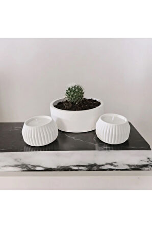 Taş Mumlukta Kaktüs ve Mum , Lavanta Kokulu %100 Doğal Soya Mum - Yuvarlak (12cm,6cm,6cm- 3 lü set