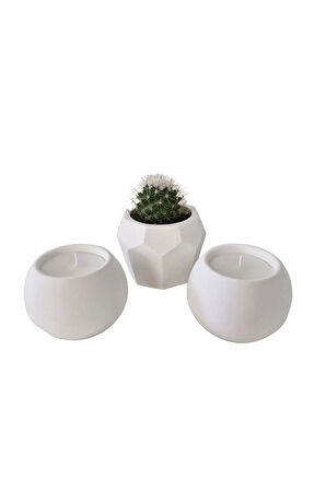 Taş Mumlukta Kaktüs ve Mum, Lavanta Kokulu %100 Doğal Soya Mum-Beşgen-Yuv. (7cm,7cm, 8,5cm)- 3lü set